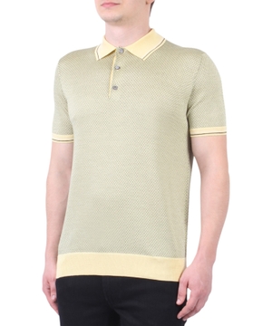 Klassik yaxalı qısaqol polo