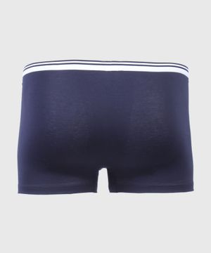 Stripe detail briefs in blue