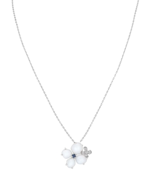 Hortensia Voie Lactée pendant