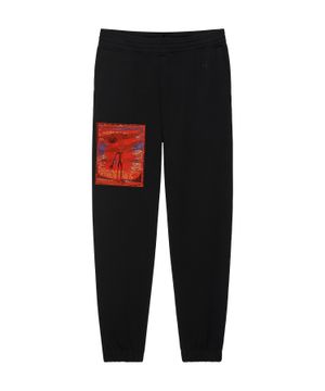 Slim fit jogger pants