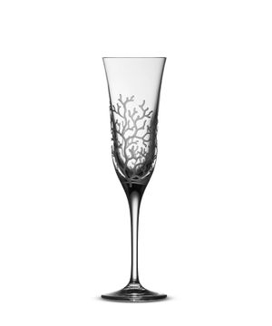 ''Coral'' champagne glass