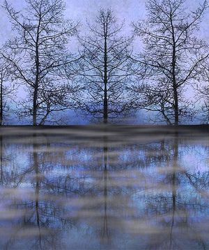 ''Lake Aspen Mist'' photography for wall