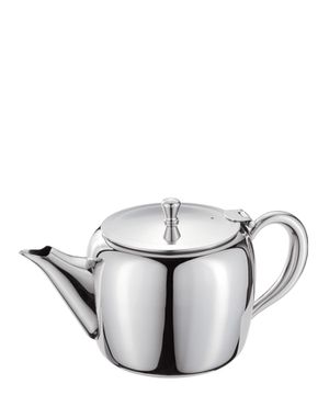 Six cup stainless steel teapot