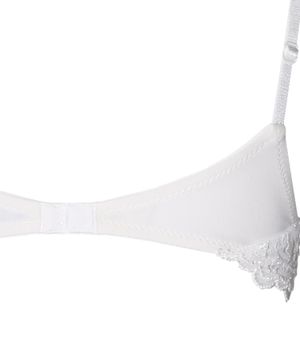 Lace embroidered bra