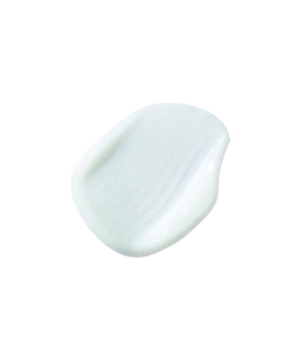 Milk for damaged hair Resistance Ciment Anti-Usure