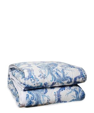 Paisley printed bed cover