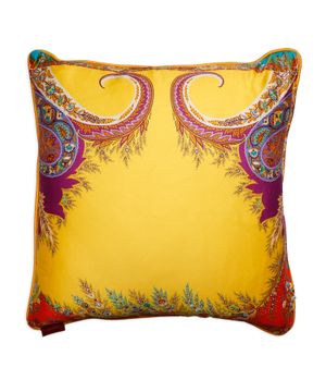 Paisley design pillow