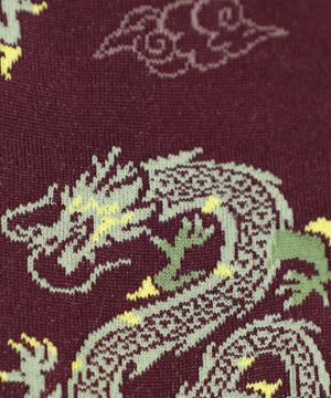 Dragon socks with pattern