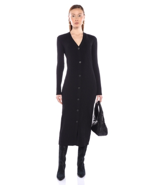 Long sleeve dress with button closure