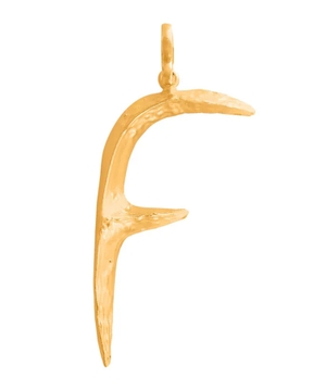 Alpha 'F' pendant