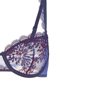 Embroidery embellished bra