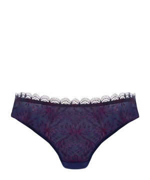 Embroidery embellished briefs