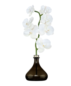 The Orchid Amber and Oud diffusor