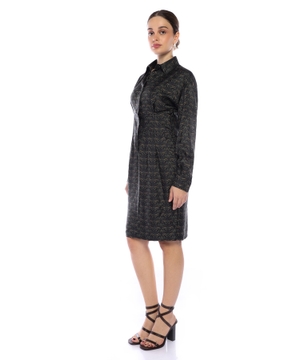 Printed silk shirt dress