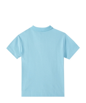 Pambıq polo