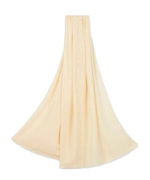 Cashmere Silk Paisley Print Shawl