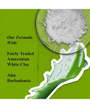 Rare Earth Deep Pore Cleansing Masque