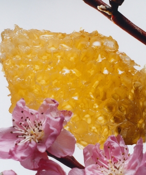 Nectarine Blossom & Honey scented candle