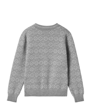 Printed knit jumper