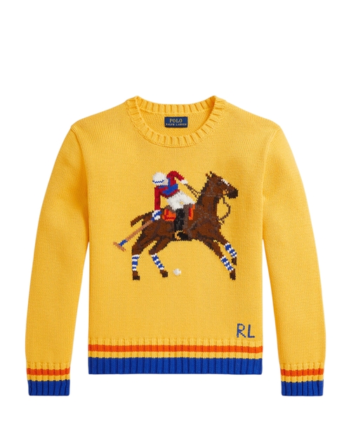 Хлопковый джемпер с вышивкой Polo Player