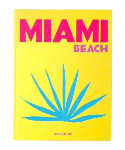 Miami Beach book
