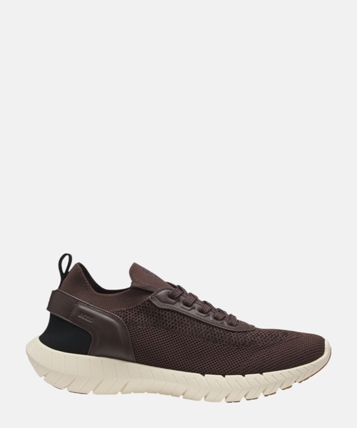 Motion trainers