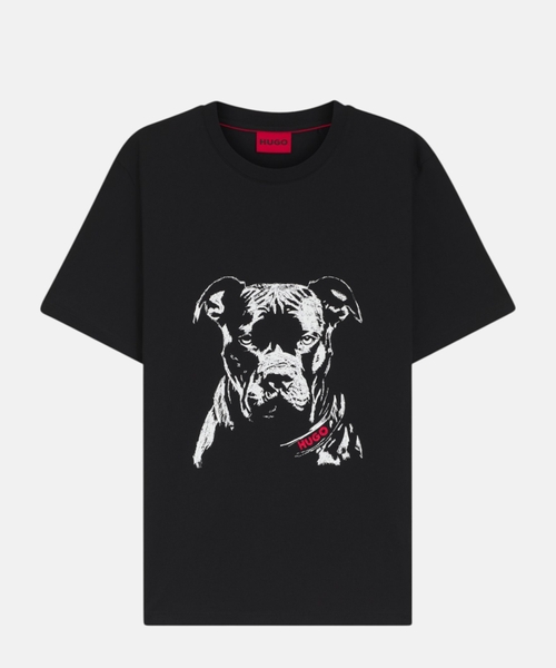 Printed T-shirt in cotton jersey
