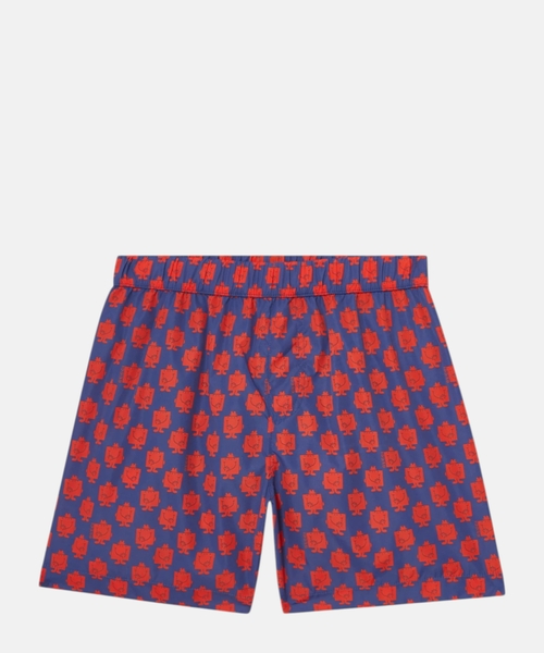 Printed swim shorts
