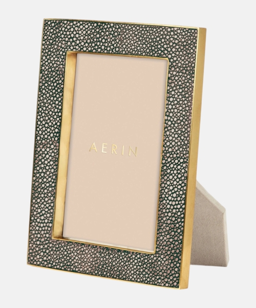 Classic Shagreen frame