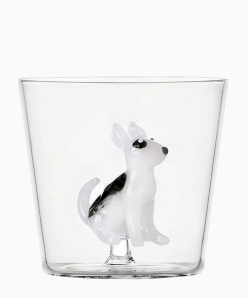 Tumbler Bull Terrier
