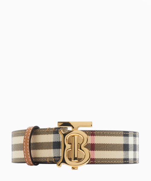Check TB belt