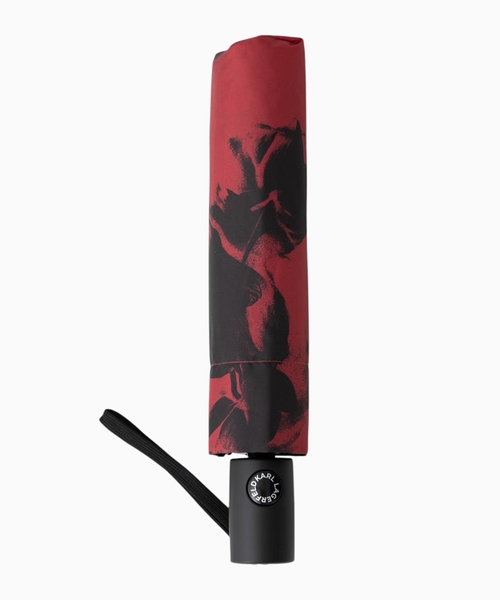Automatic umbrella