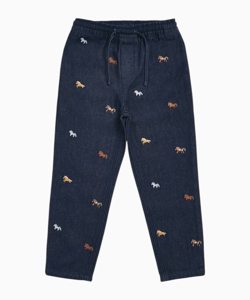 Embroidered pants