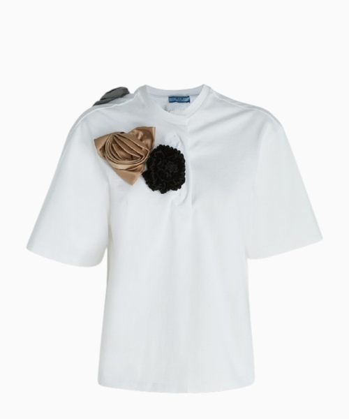 Short sleeve top with applications