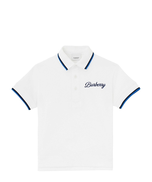 Loqo aplikasiya detallı polo