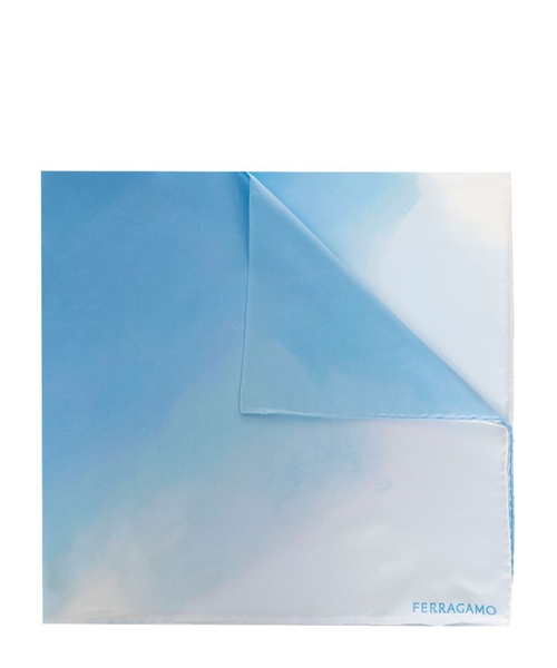 Шарф с логотипом