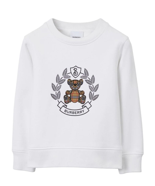 Burberry embroidered jersey sweatshirt on sale