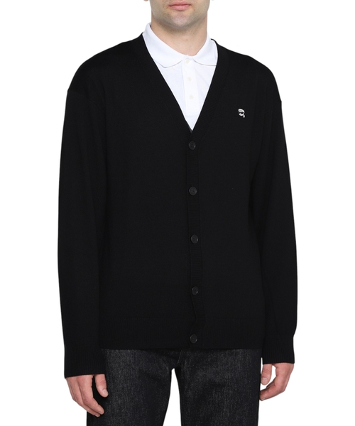 İkonik yun kardiqan