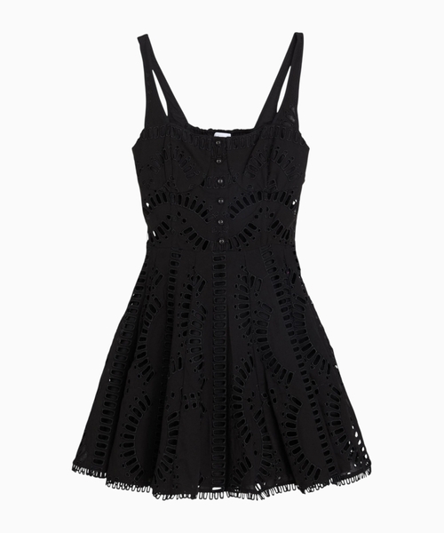 Embroidered mini dress