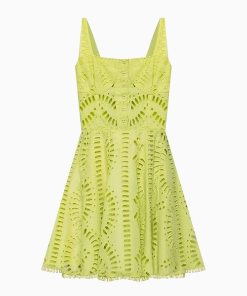 Embroidered mini dress