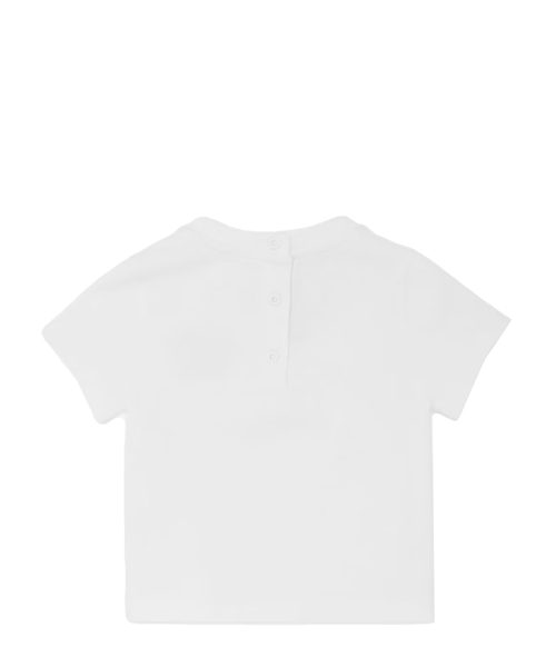 Tシャツ・カットソー Fallett Top Stitch short sleeve 4FK993 Fallett Top Stitch short sleeve 4FK993 (Fallett/Tシャツ