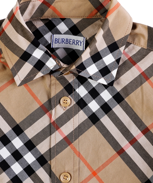 Burberry striped shirt online