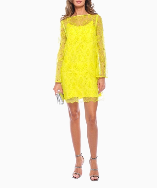 Embroidered organza mini dress