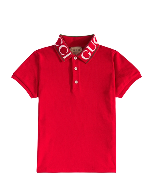 Loqolu yaxa ilə polo