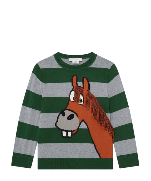 Horse graphic jumper