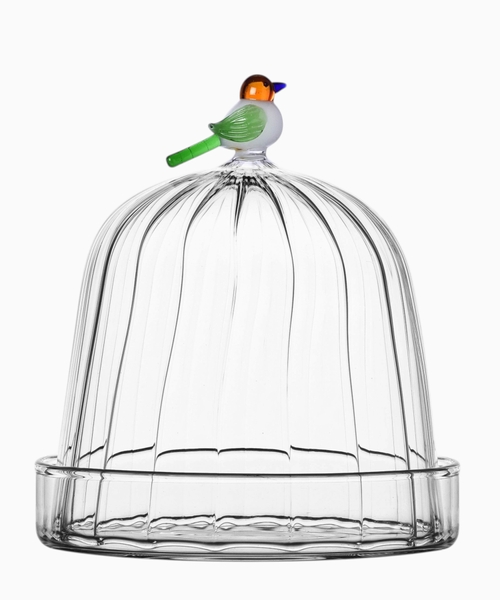 Bird dome