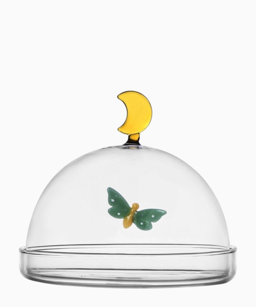 Butterfly and Moon dome