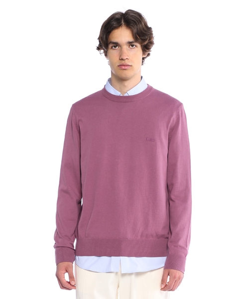Cotton sweater with embroidered logo