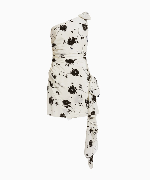 Rose print mini dress