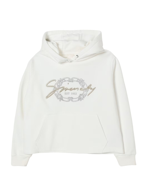 Logo embroidery hoodie